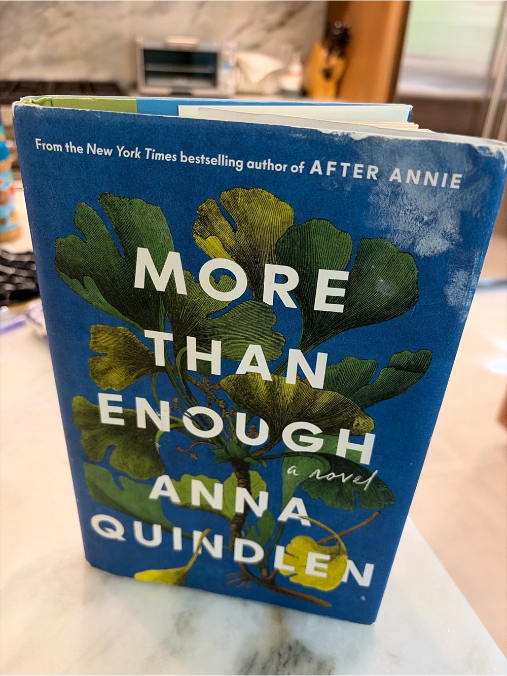 - More Than Enough Hardcover Book (Blue)
